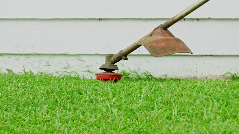 Best Aeration Services  in La Villa, TX